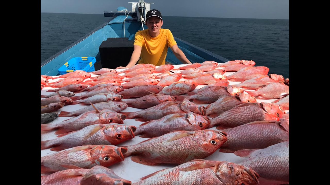 TRIP PERDANA BERSAMA KAPAL KINGFISHER skw
