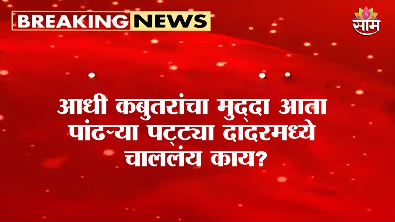 आधी कबुतरांचा मुद्दा आता पांढऱ्या पट्ट्या दादरमध्ये चाललंय काय? | White road Stripe Controversy