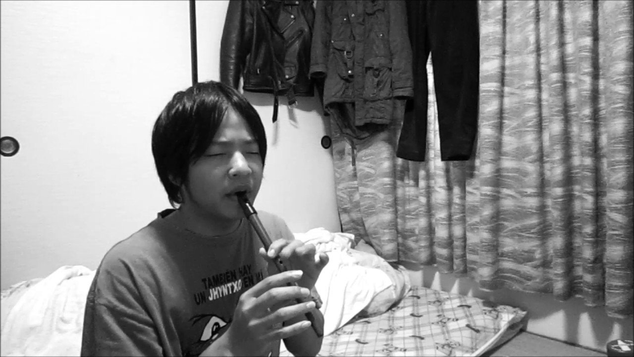 Mägo de Oz - La cantata del Diablo Tin whistle solo cover