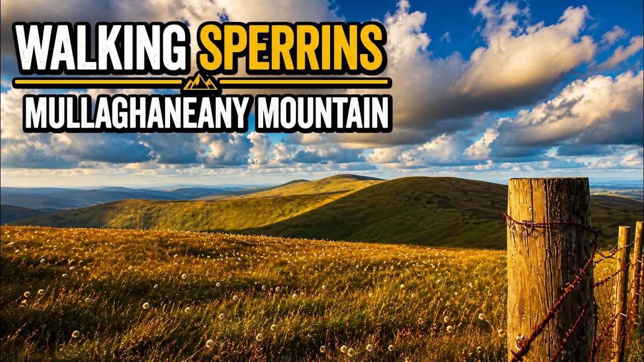 Mullagheany Mountain | Sperrin Mountains