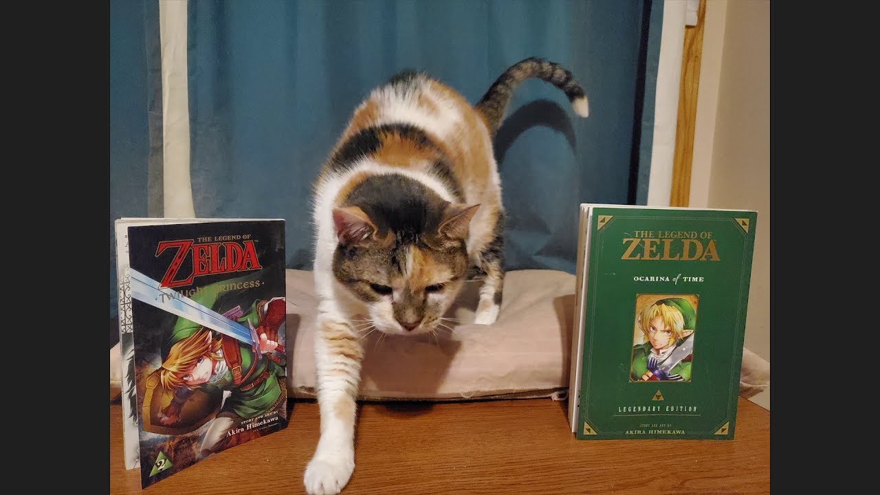 More Zelda Manga