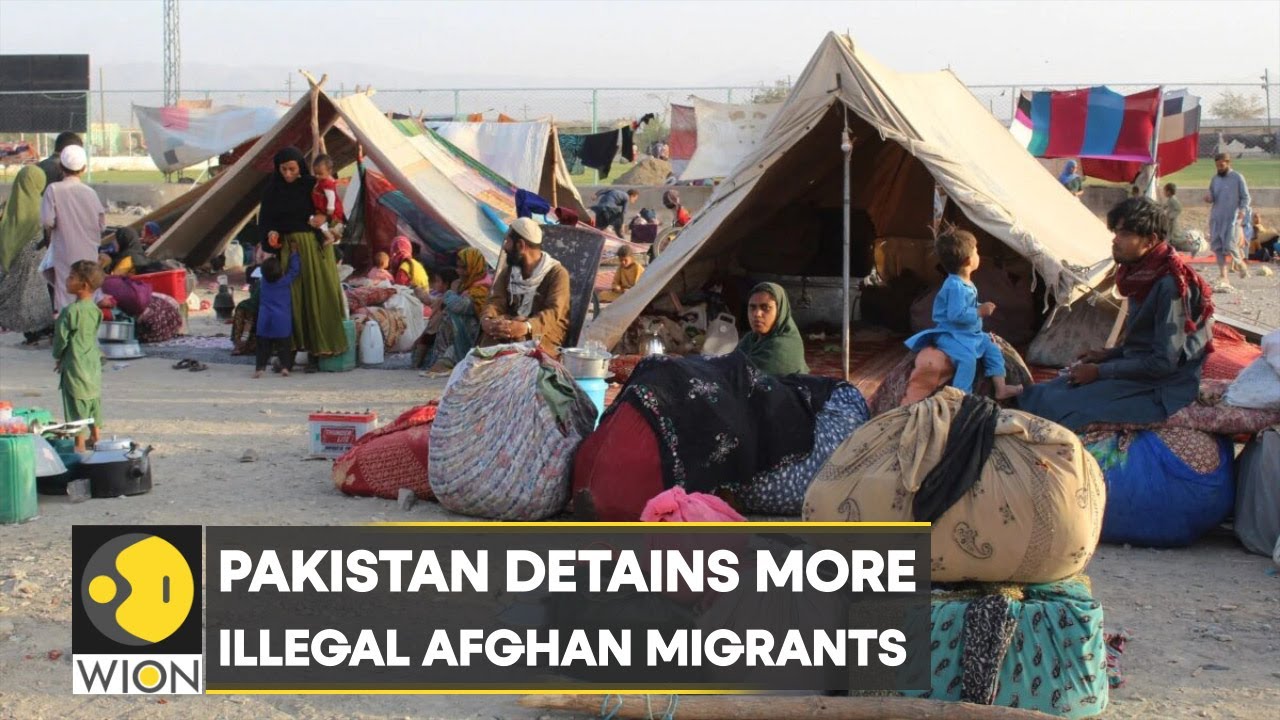 Pakistan: Government continues its crackdown on undocumented Afghan migrants | Latest News | WION