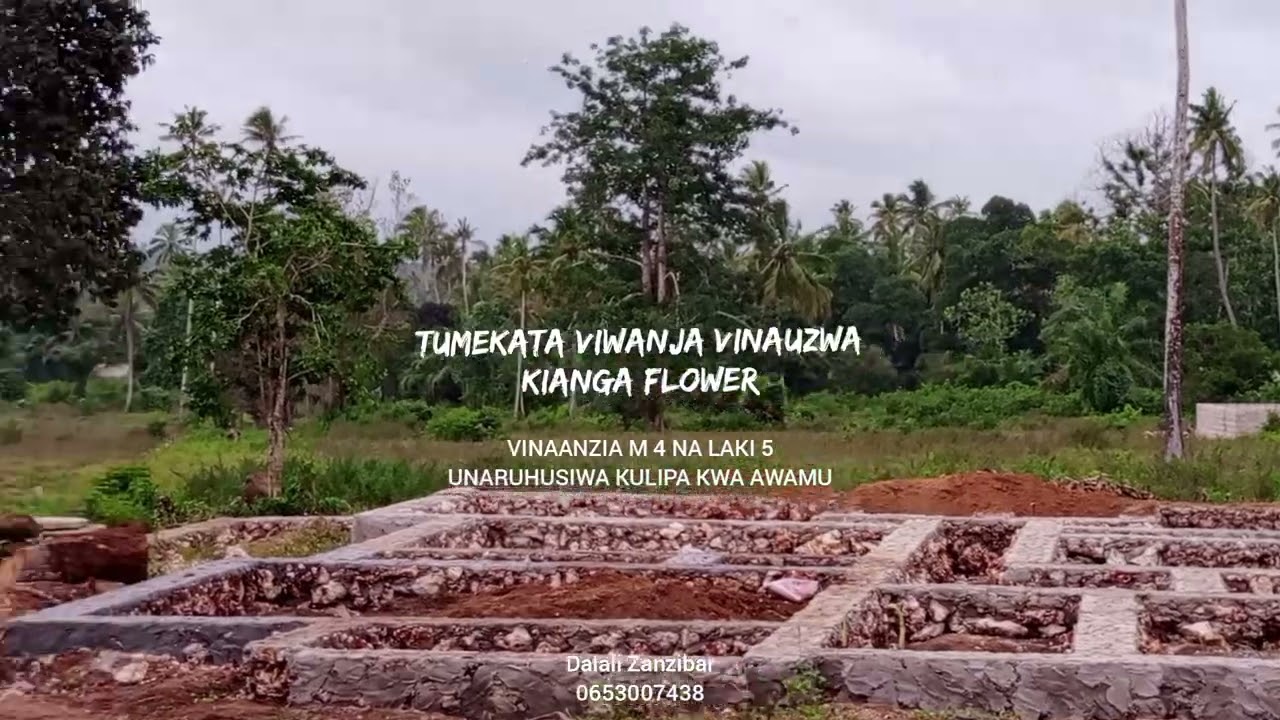 VIWANJA VYA KULIPA KIDOGO KIDOGO KIANGA ZANZIBAR, VIWANJA VINAANZIA M 4 NA LAKI 5 (0653007438)