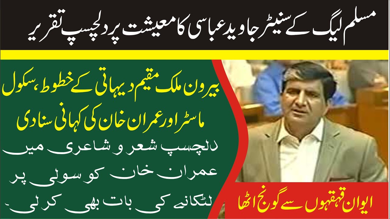 PMLN Senator Javed Abbasi Amazing Speech About PM Imran Khan On Economy
