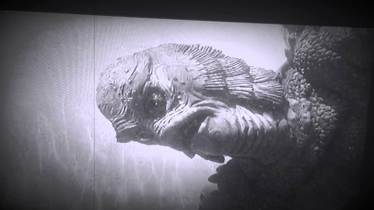 Revenge of the Creature Florida filming locations
