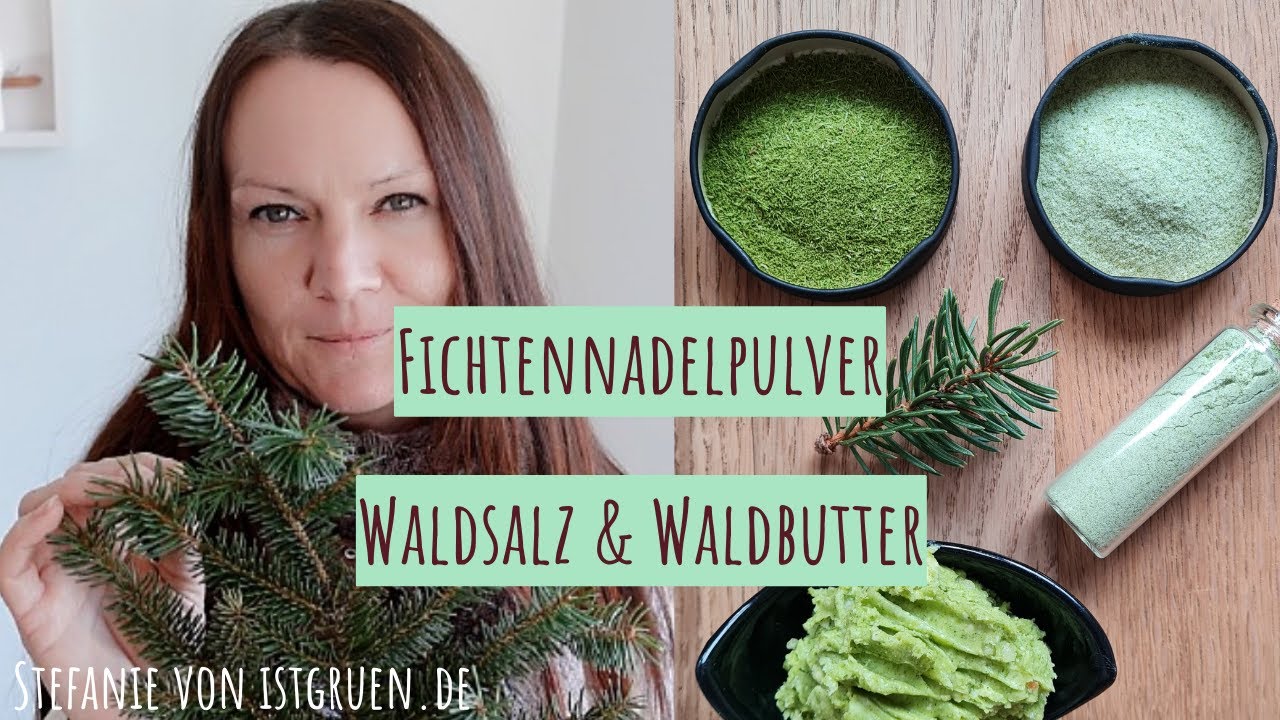 Fichtennadelpulver – Waldsalz & Waldbutter selber machen mit der gesunden Fichte