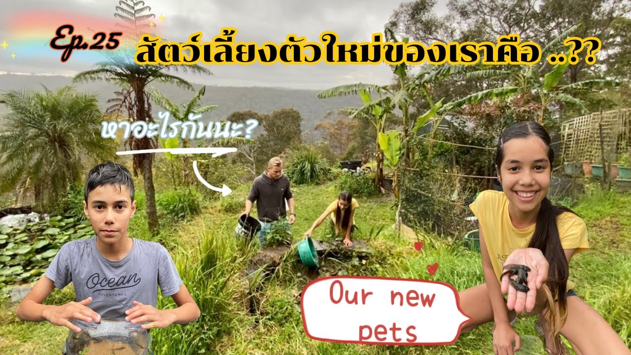 Ep.25 AusThai life | our new pets สัตว์เลี้ยงตัวใหม่ของเรา คือ ???