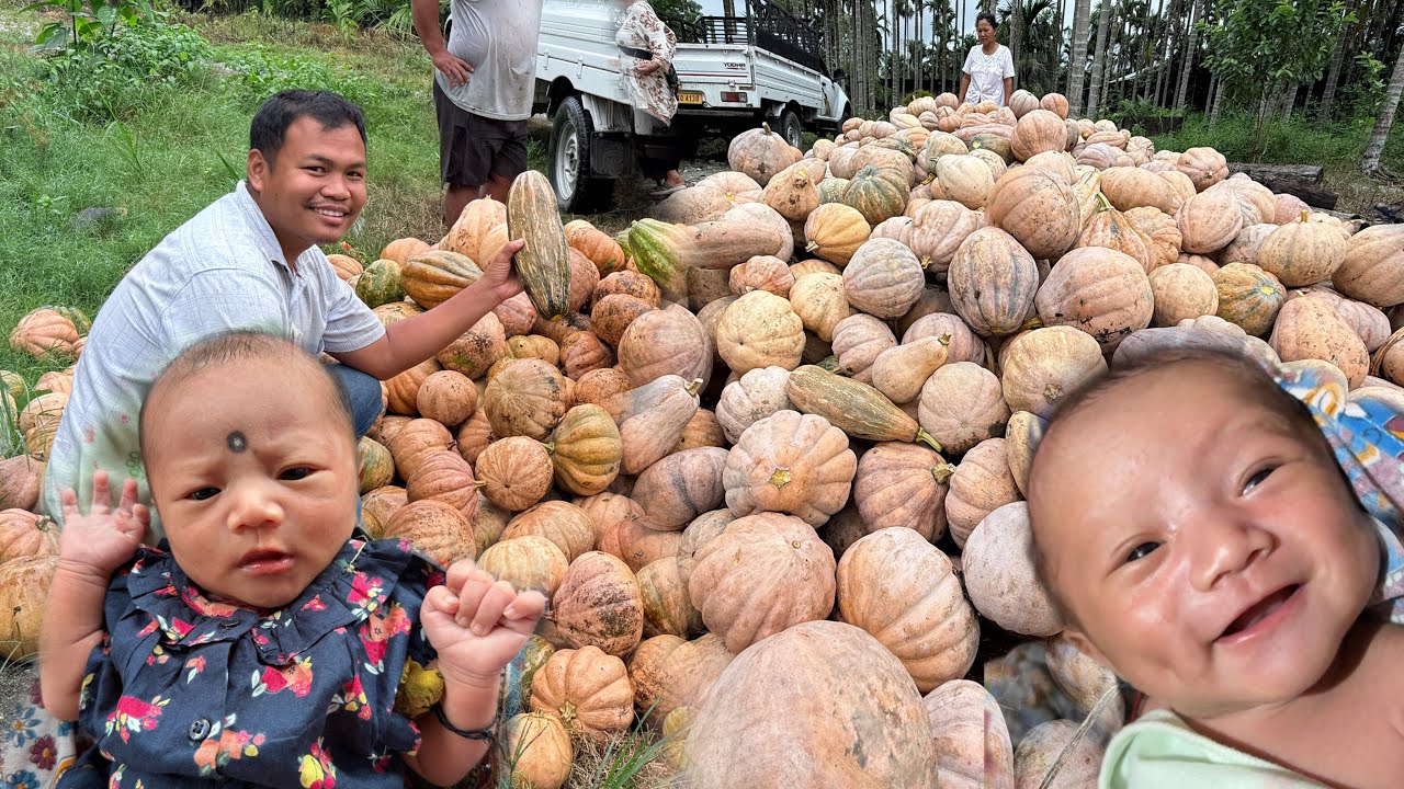 Bought Clothes for Daughter | Today we sold Pumpkin in cheapest price and Earn Thousands of Rupees 
