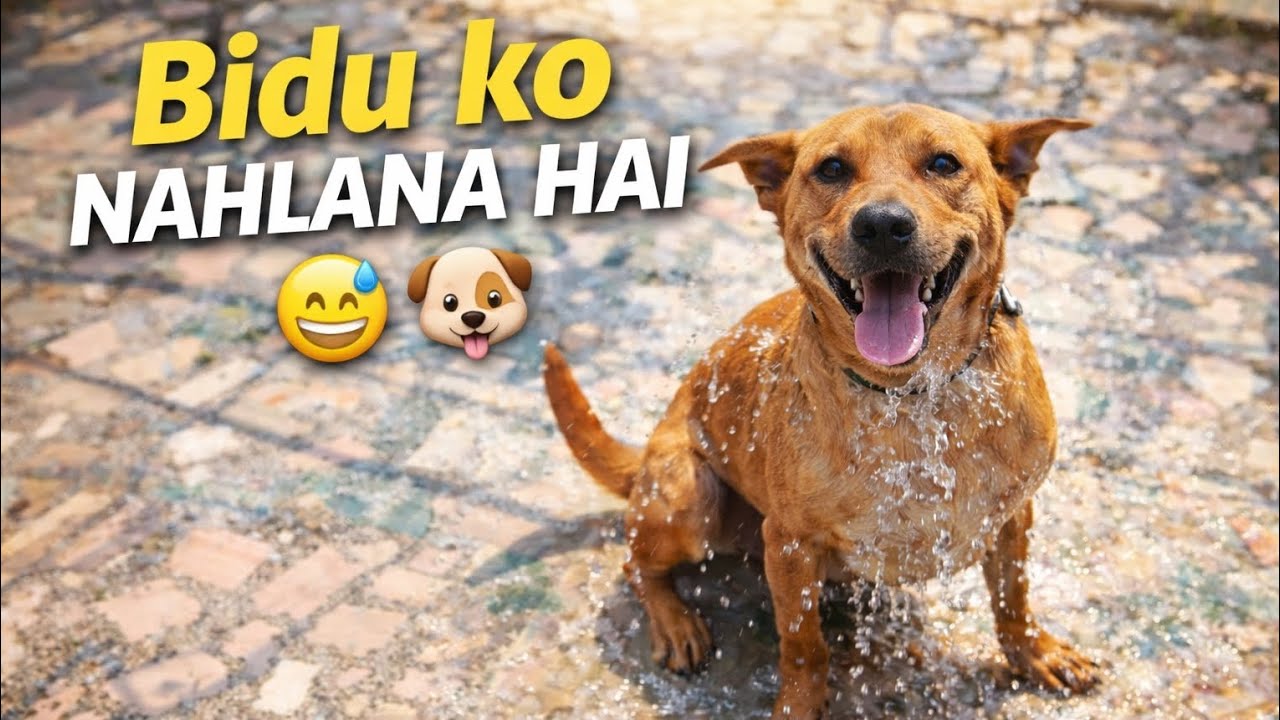 Bidu Ko Nahlana Hai 😂🐶 | Funny Pet Vlog