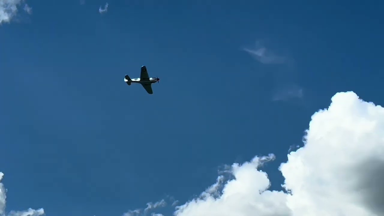 Phoenix P40 80”￼