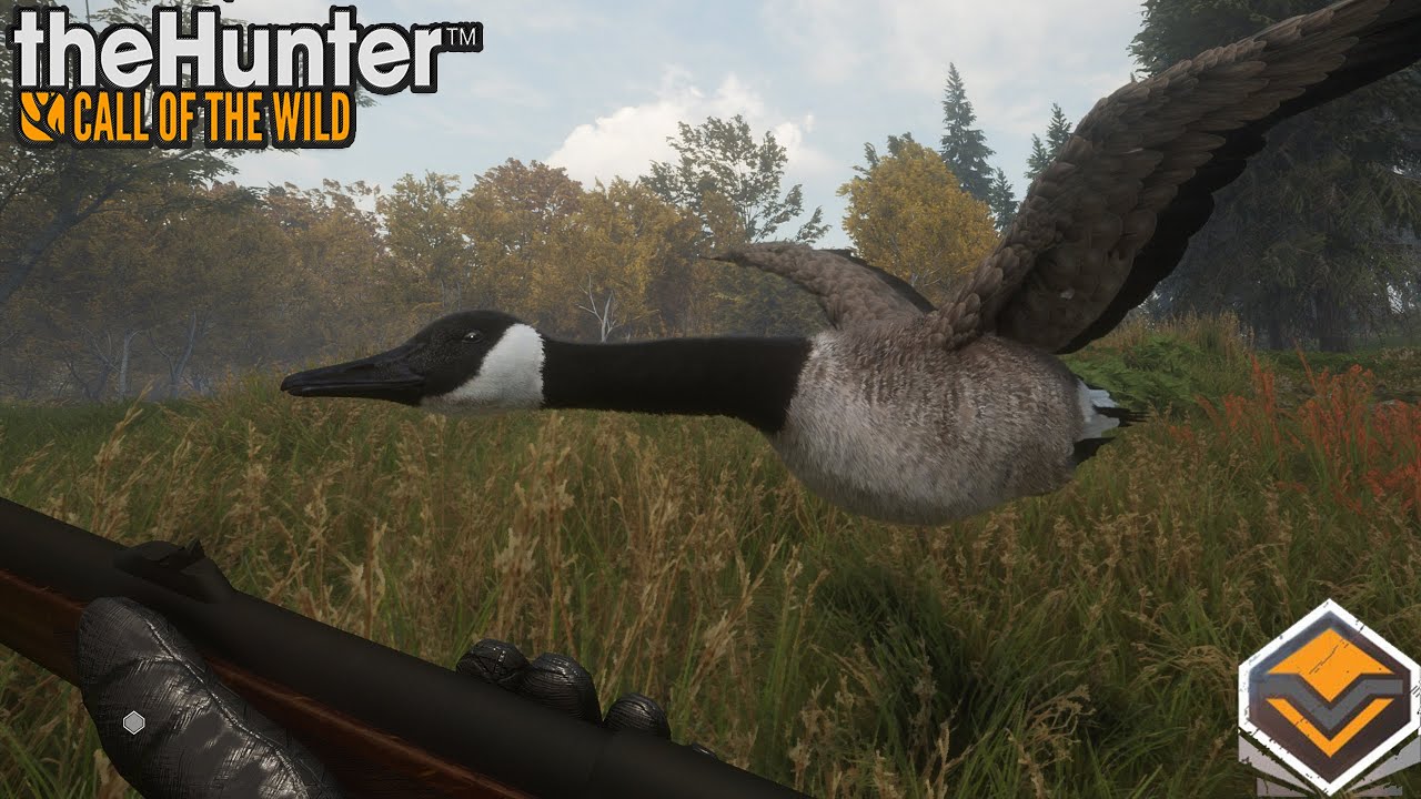 THEHUNTER COTW #113 UNE CHASSE À LA BERNACHE DU CANADA