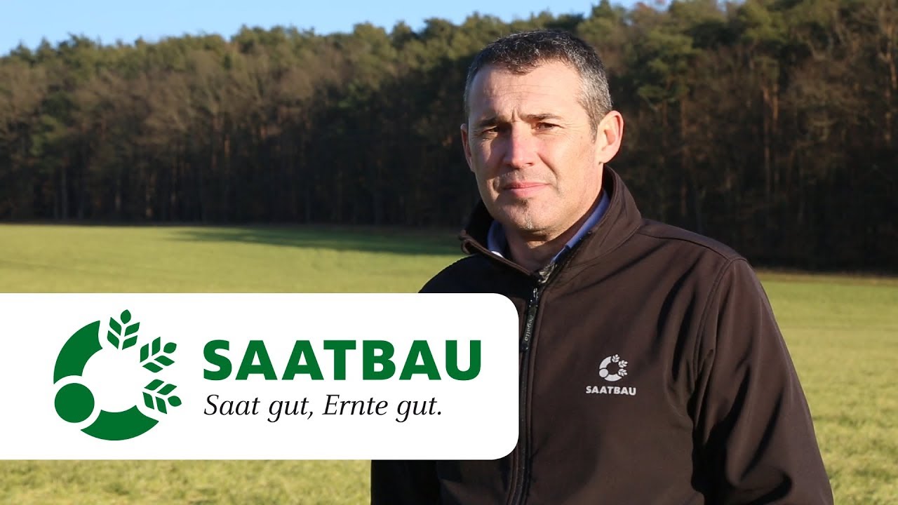 Wintergerste - Tipps zur Bestandesführung