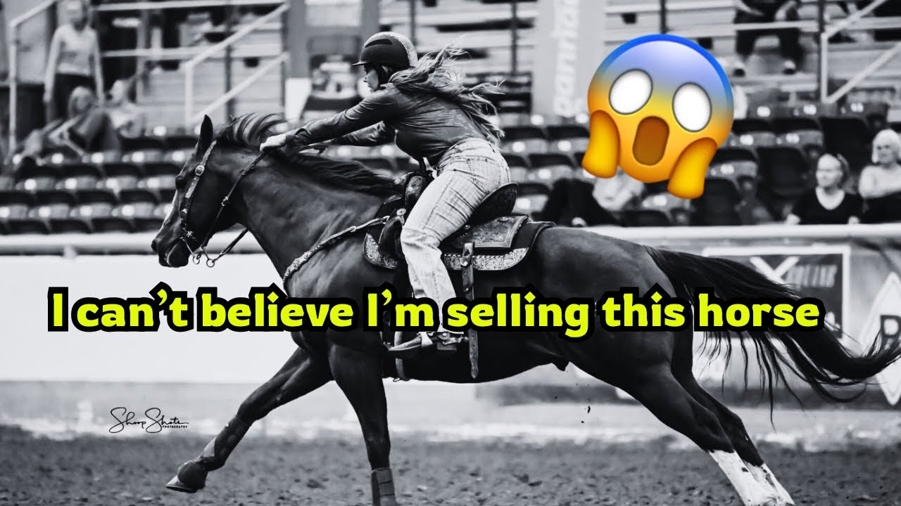 SELLING ONE OF MY RODEO HORSES 😭🤯😱