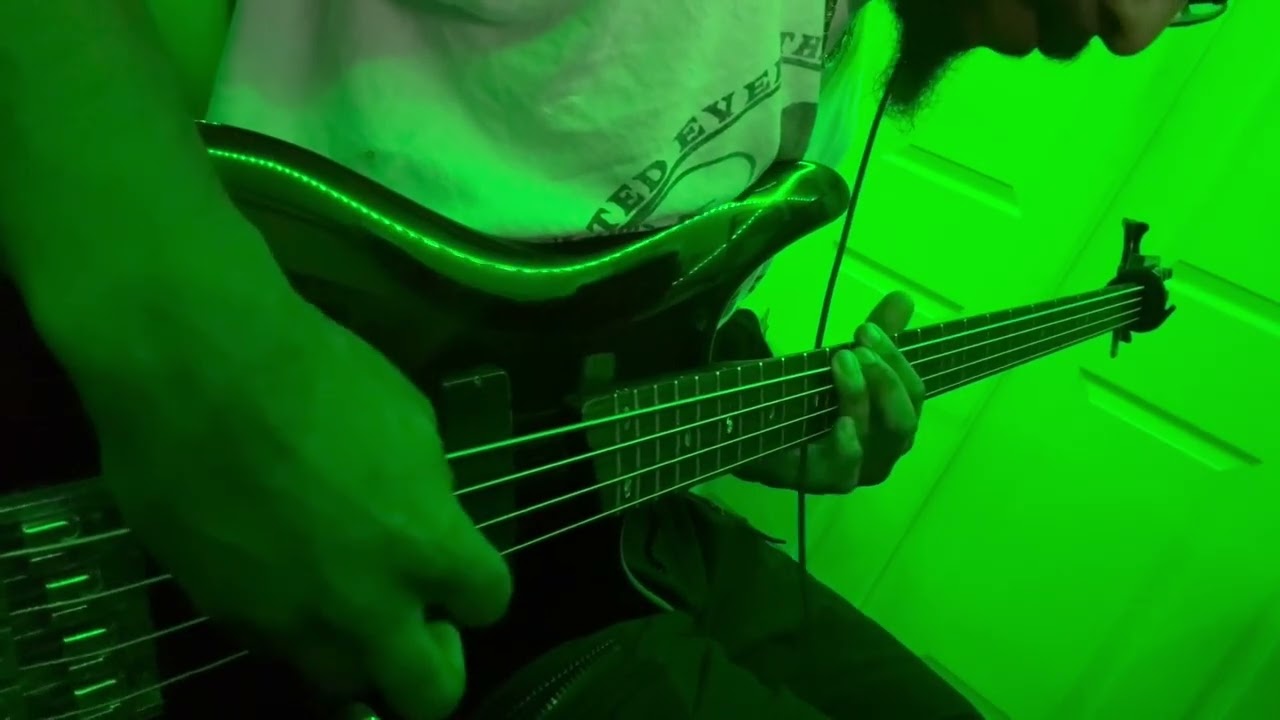 Type O Negative - Too Late:Frozen (Bass Cover)