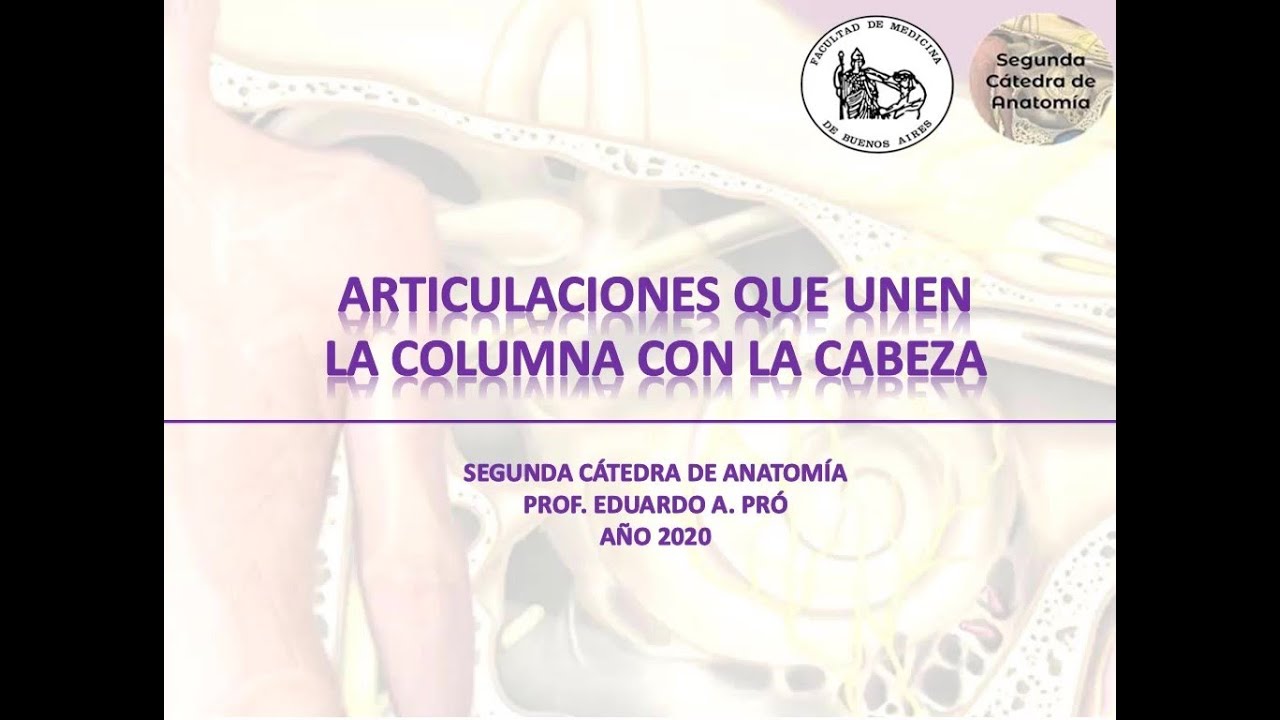 L1.2 | Articulaciones craneovertebrales | Anatomía 2 | FMed UBA