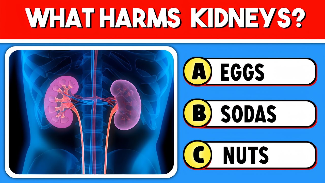 Can You Pass This Human Body Quiz ❓ Take This 30-Question Anatomy Quiz | American Quiz | Usa Quiz 