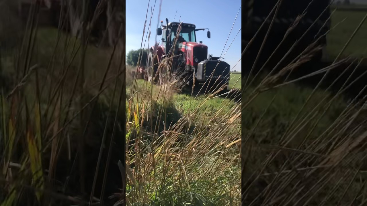 Massey Ferguson 7485  #rolnictwo #rolnik #masseyferguson #agregat #ciągnik