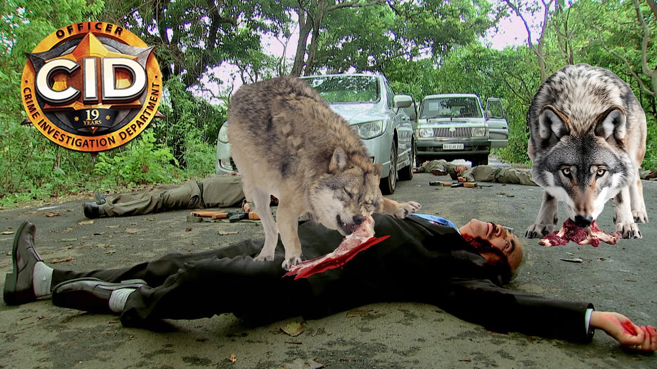 सुन सान जंगल में भेड़िया ने किया हमला ACP Praduman पे | CID | Tv Serial Latest Episode 2025