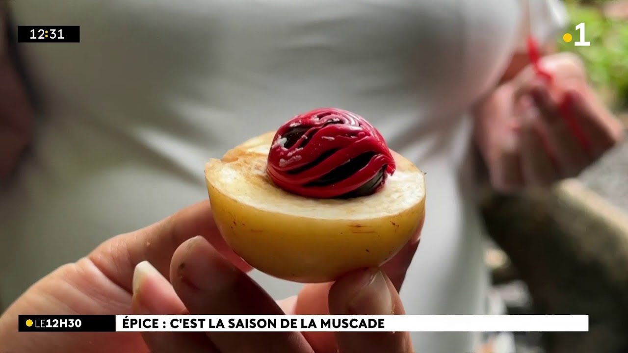 C’est la pleine saison de la muscade