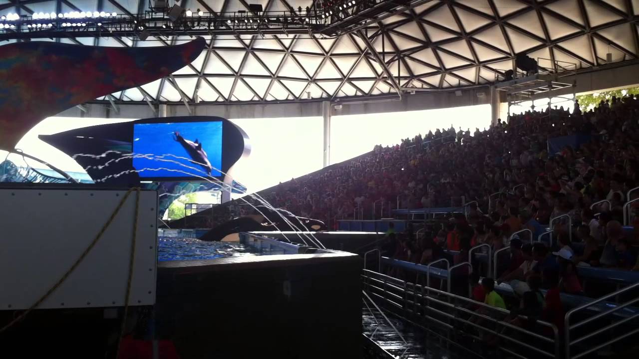 Sea World (San Antonio) - One Ocean Show