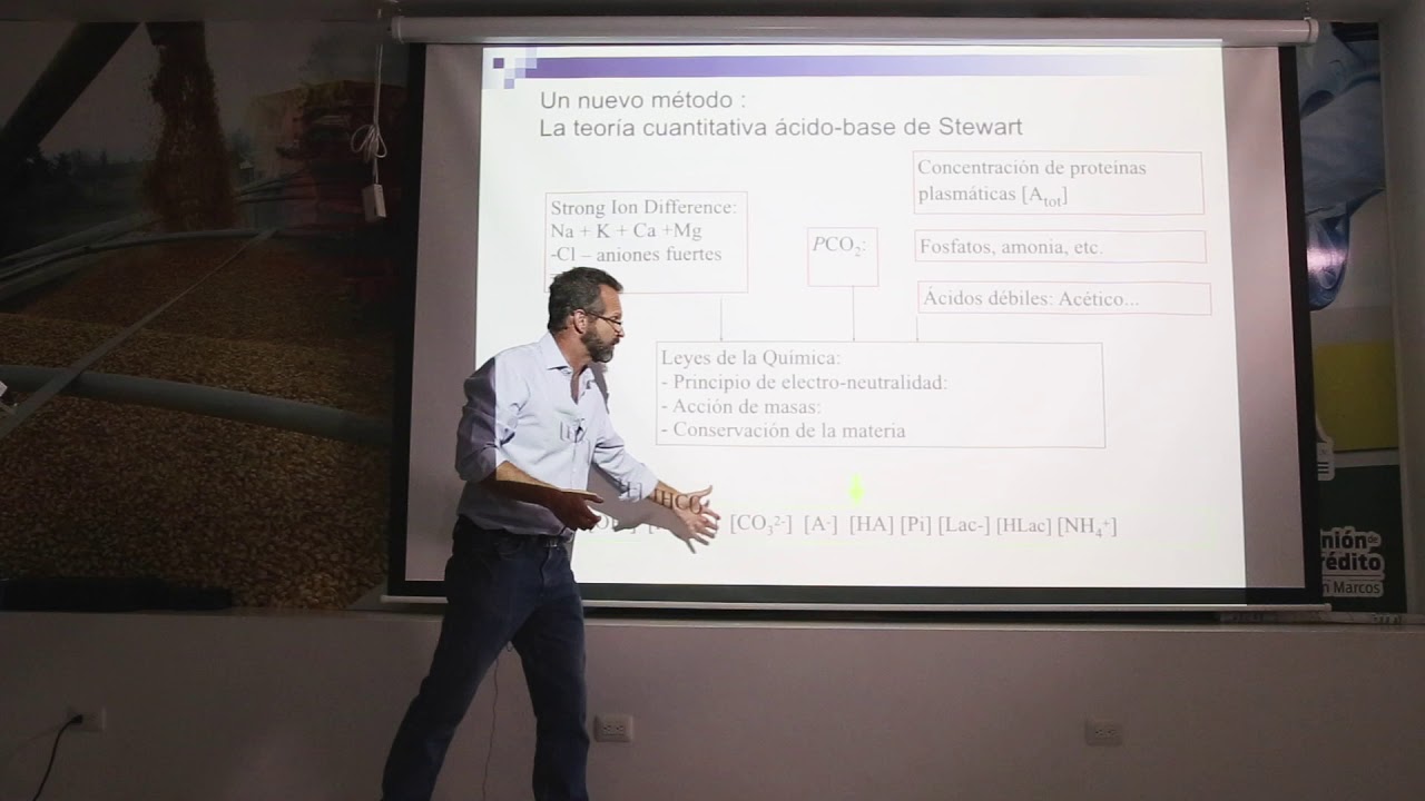 TEORÍA DE ÁCIDOS DE STEWART APLICADA A MEDICINA VETERINARIA