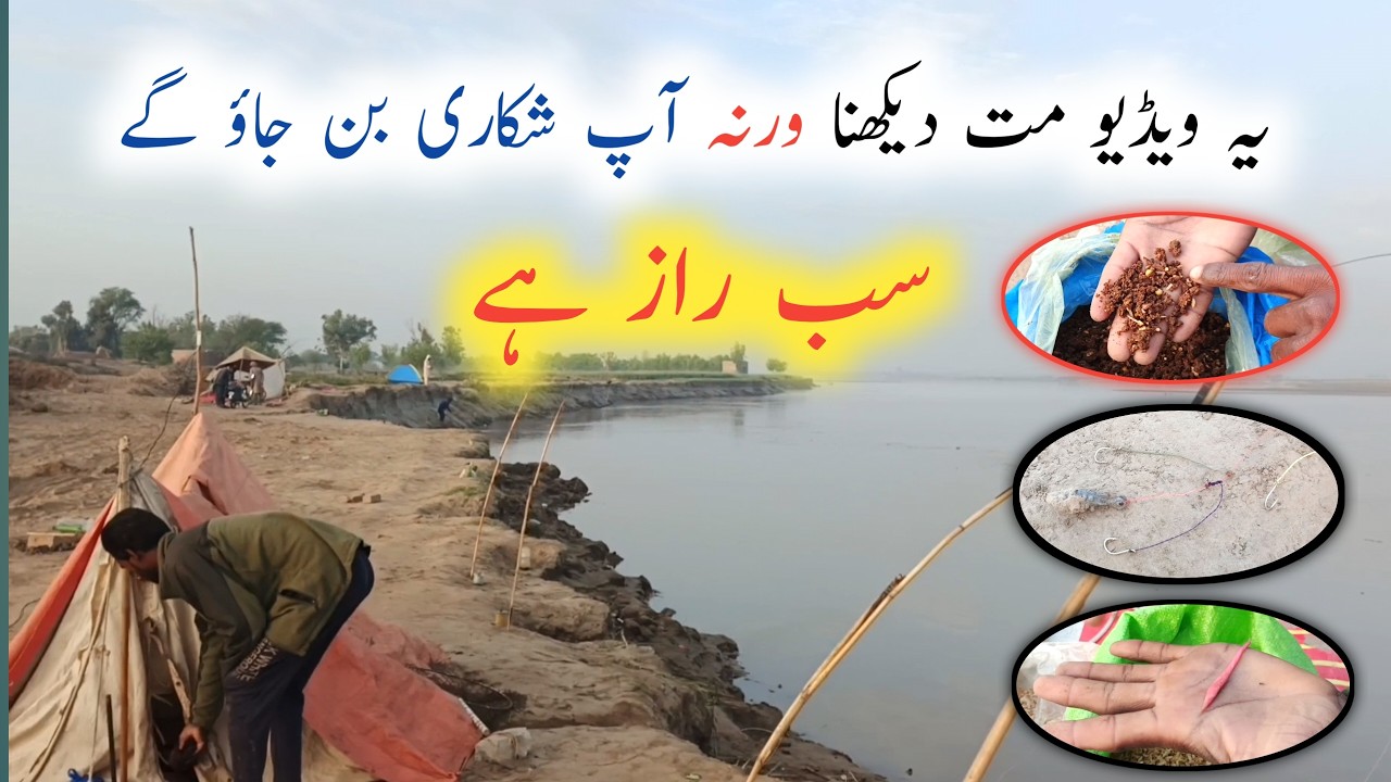 دریا میں زبردست شکار کا خفیہ راز! جھاڑا، چارہ اور فشنگ لائن بنانے کا مکمل طریق