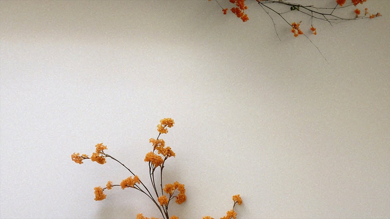 heylog - footprints & trails (audio)