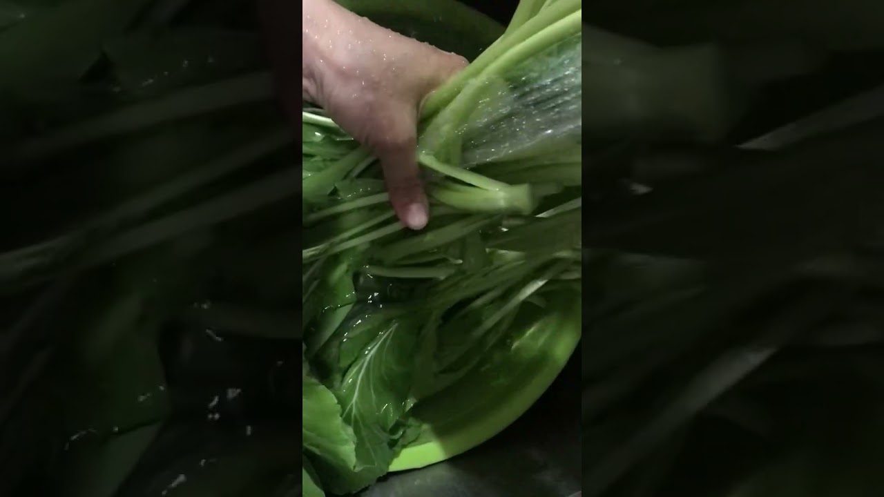 C&acirc;y cải ngọt c&ocirc;ng dụng g&igrave;