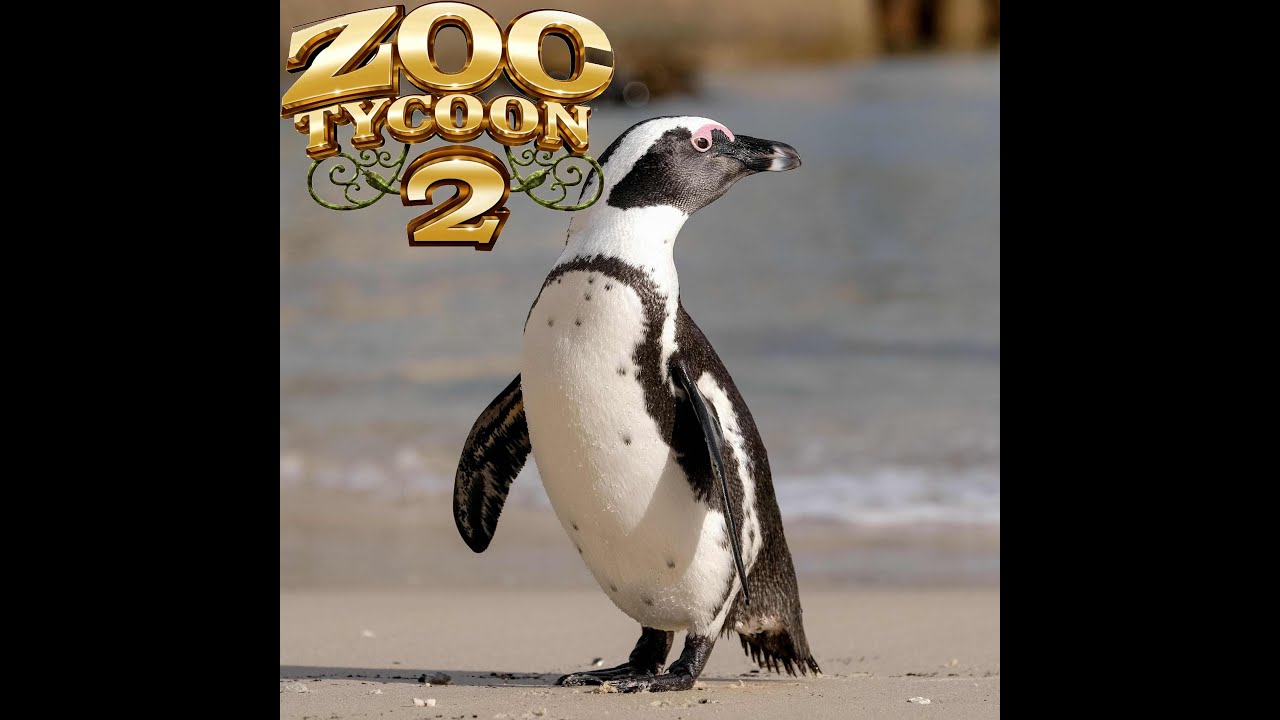 Exhibit for African Penguin - African ZOO [7] - Zoo Tycoon 2