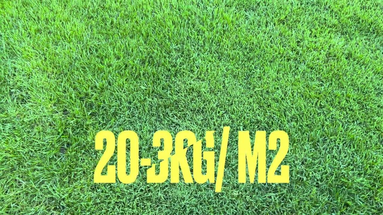 Gyep&aacute;pol&aacute;s tavasszal bio m&oacute;dszerekkel (trichoimmun, huminsav, komposzt, csal&aacute;nl&eacute; oldat)