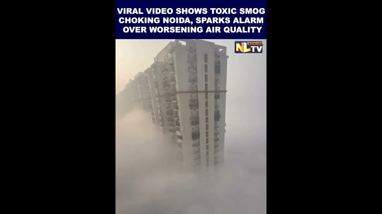 VIRAL VIDEO SHOWS TOXIC SMOG CHOKING NOIDA, SPARKS ALARM OVER WORSENING AIR QUALITY