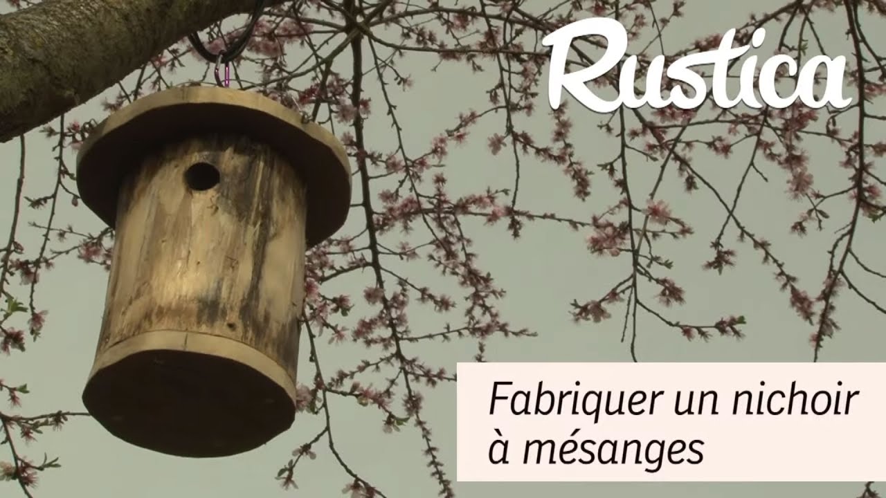 DIY : Comment fabriquer un nichoir pour les mésanges