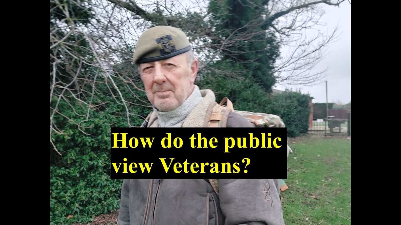 HOW DO THE PUBLIC VIEW VETERANS?