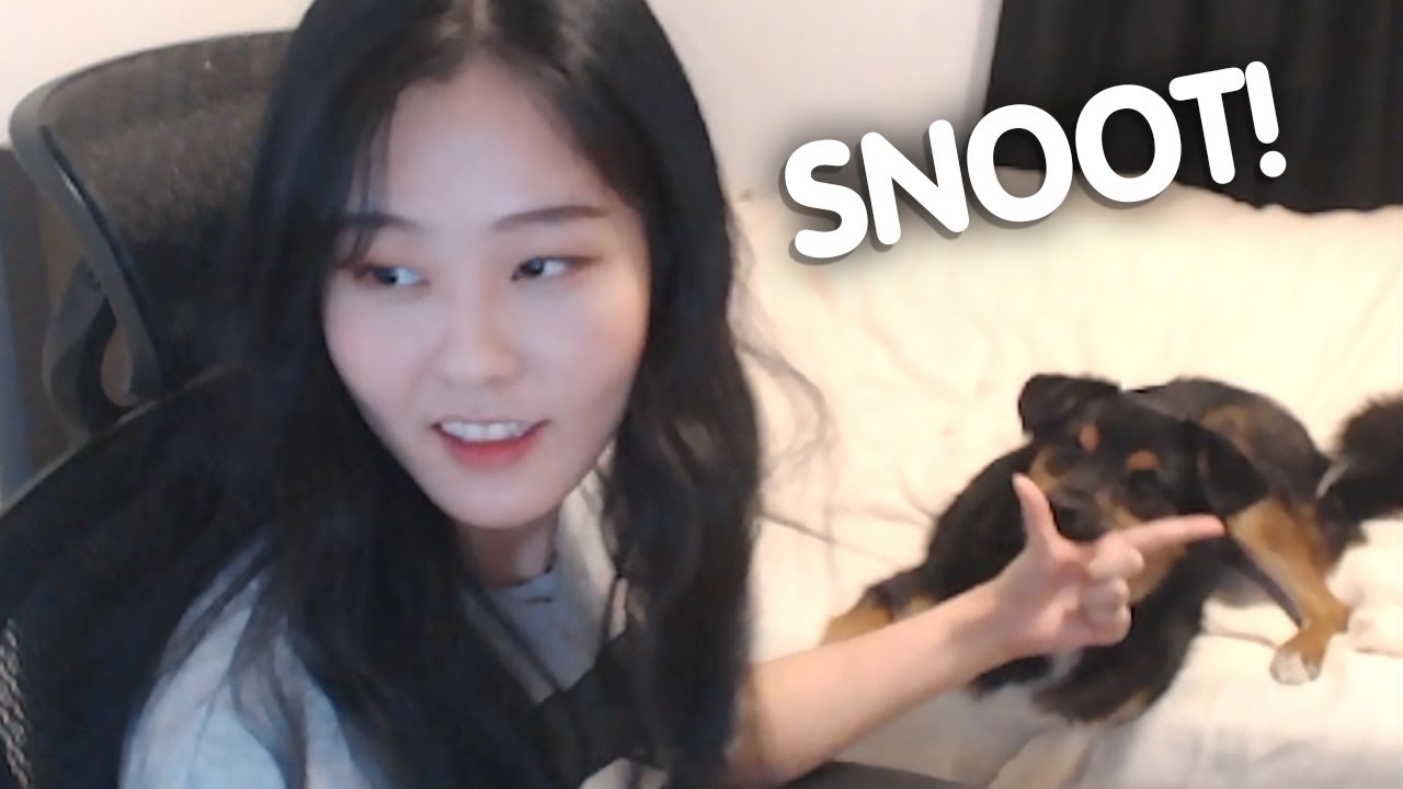 daph summons yion again! | clips
