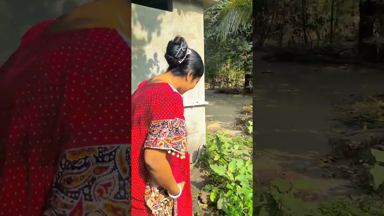 আমার ঠাম্মা দেখো বাড়িতে কত কি সবজি লাগিয়েছে 😱😱 #viralvideo #vlogvideo 