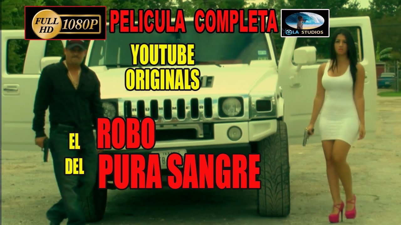 🎬 EL ROBO DEL PURA SANGRE - Pel&iacute;cula de acci&oacute;n completa en espa&ntilde;ol | Ola Studios TV 🎥