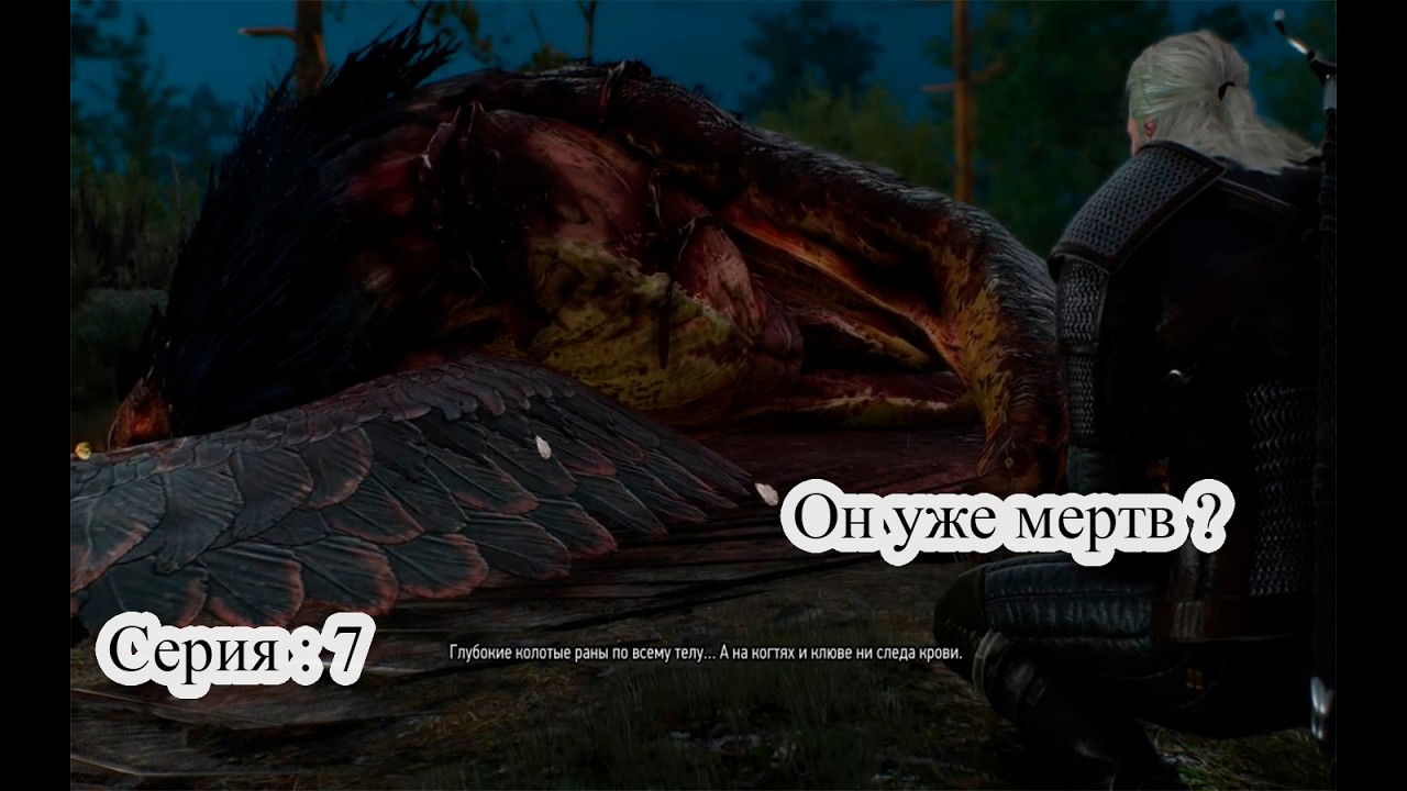 The Witcher 3: Wild Hunt — Тело грифона | Прохождение | Серия 7