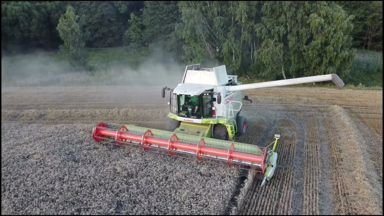 Žatva 2023 | Claas Lexion 580 | mlatba pšenice mäkkej