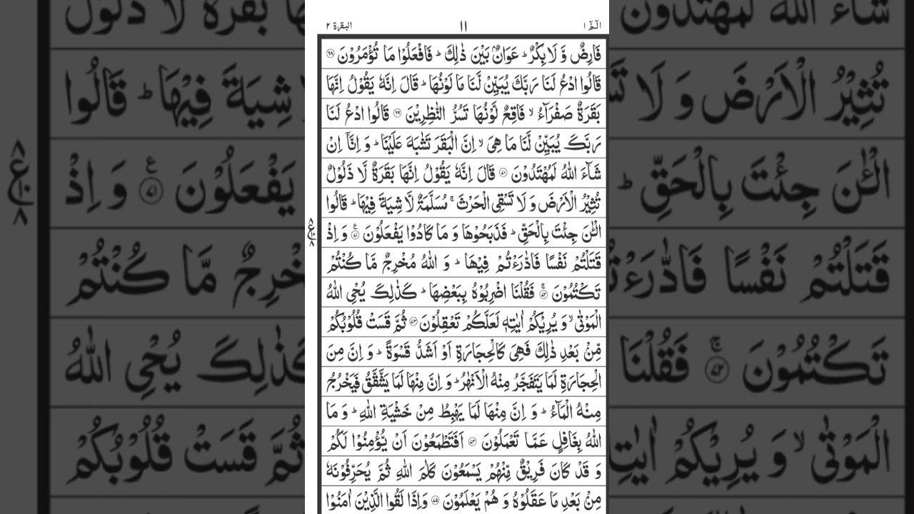 Surah baqarah Ayat 61-82 by Hafiz Muhammad Hassan Maroof