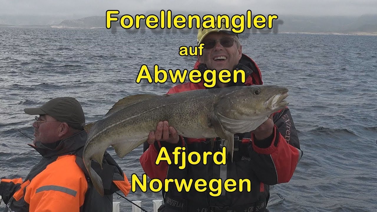 Forellenangler auf Abwegen: Dorschangeln - Afjord Norwegen