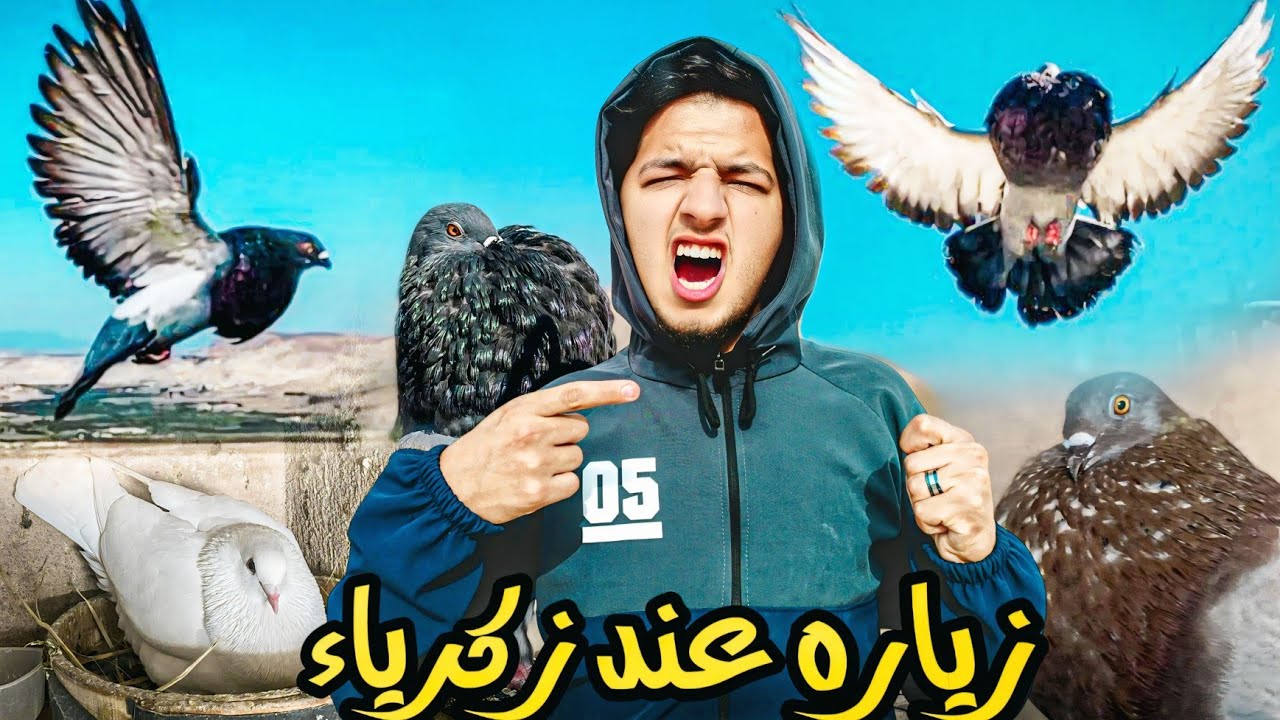 زياره عند الصديق زكرياء 🔥 توليعه في الحمام سمائيه جويه ارضيه ❤️