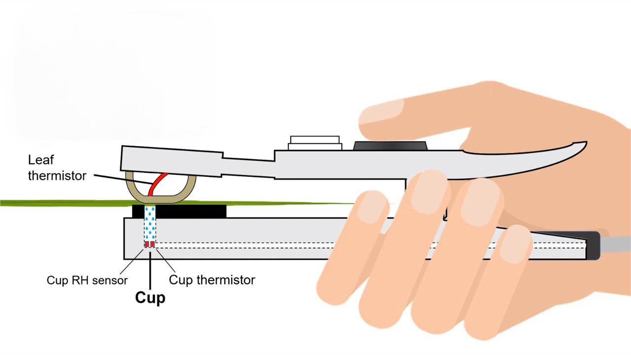 Delta-T Devices AP4 Leaf Porometer video