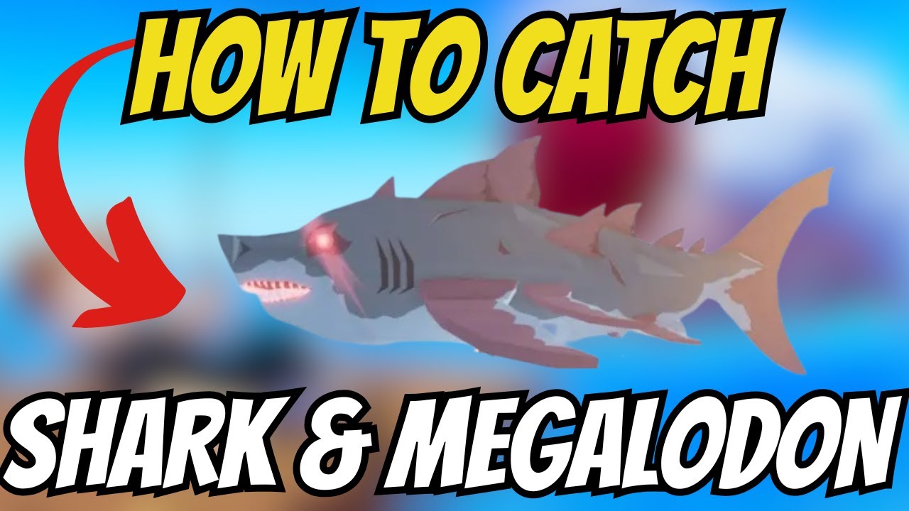 How to CATCH SHARK & MEGALODON In Fish It! [TUTORIAL]