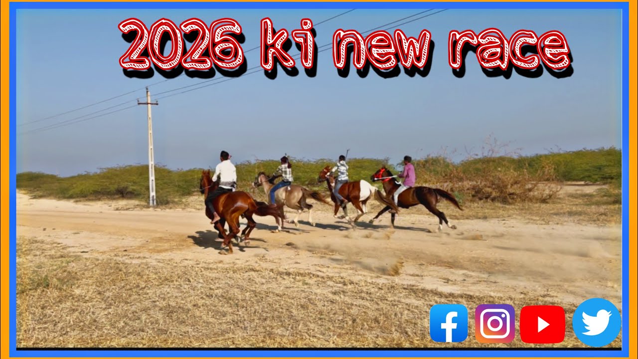 त्रगड़ी पट्टी हॉर्स रेस | 313  🆚 72 sikari की काटे की टक्कर 04| 01| 2026| #horseracing #horse 