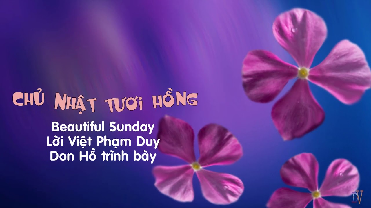 Chủ Nhật Tươi Hồng (Beautiful Sunday) Lời Việt Phạm Duy , Ca sĩ: Don Hồ