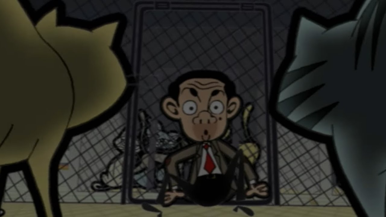 미스터 빈은 대체 고양이를 찾아야 합니다! | Mr Bean | 어린이를 위한 만화 | WildBrain 한국어