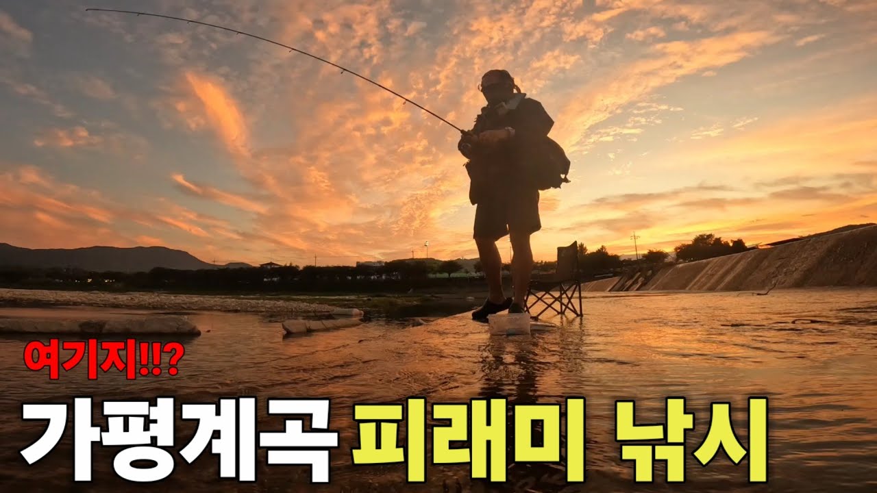 가평 계곡 피래미낚시 대박! 🐟 손맛 제대로 본 하루 // 초보도 OK! [낚시 수영 ep.6]