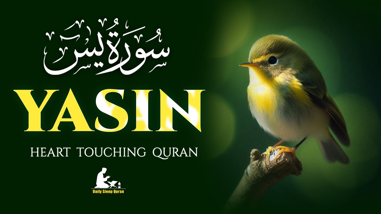 Surah Yaseen (سورة يس) Heart Soothing Recitation | Beautiful & Soulful Recitation | SURAH YASEEN