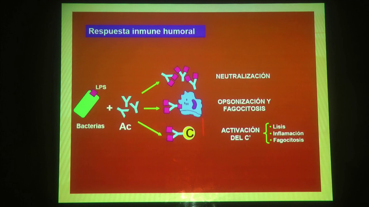 Respuesta Inmune Frente a Bacterias