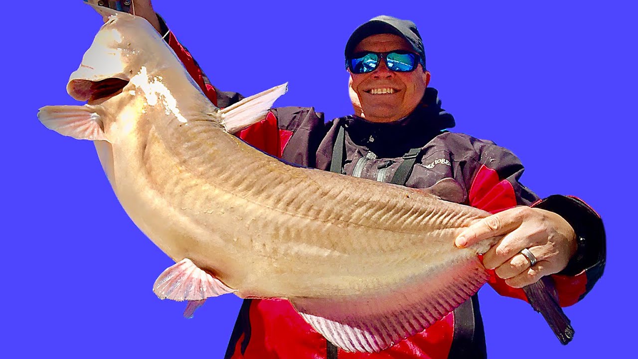 SIX TIPS for Catching Spring Catfish from the Bank and Boat